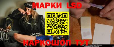 индика Славгород