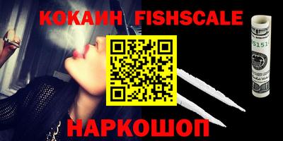 индика Славгород